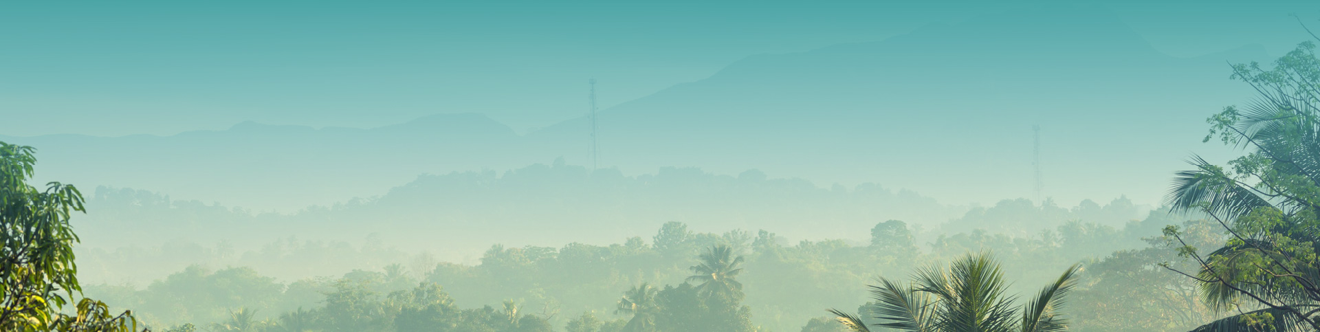 Spritzer Natural Mineral Water