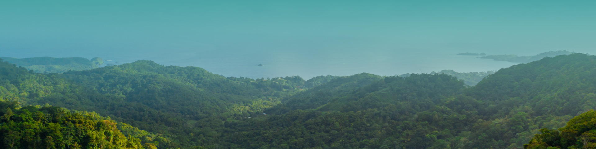 Natural Mineral Water