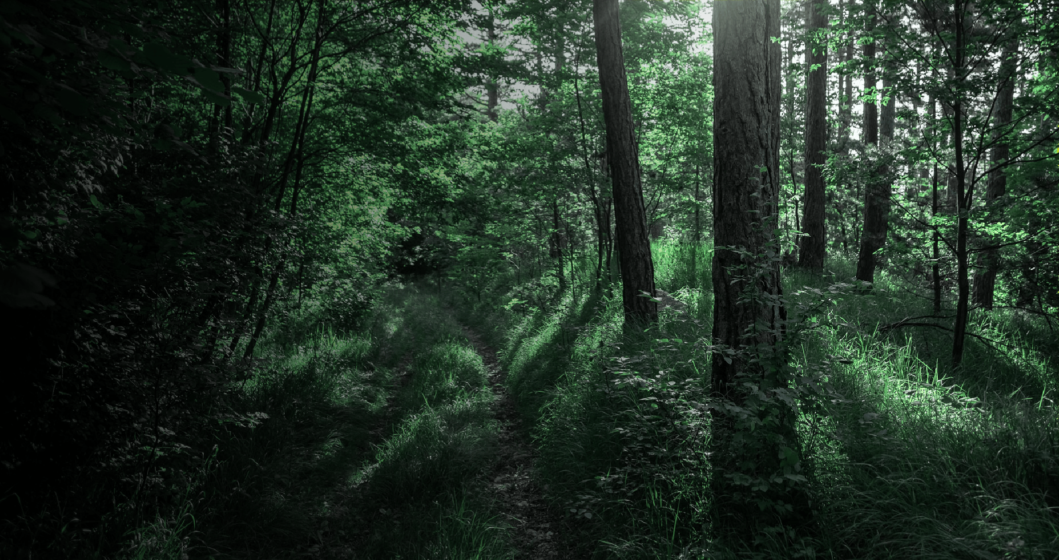 Spritzer Natural Mineral Water