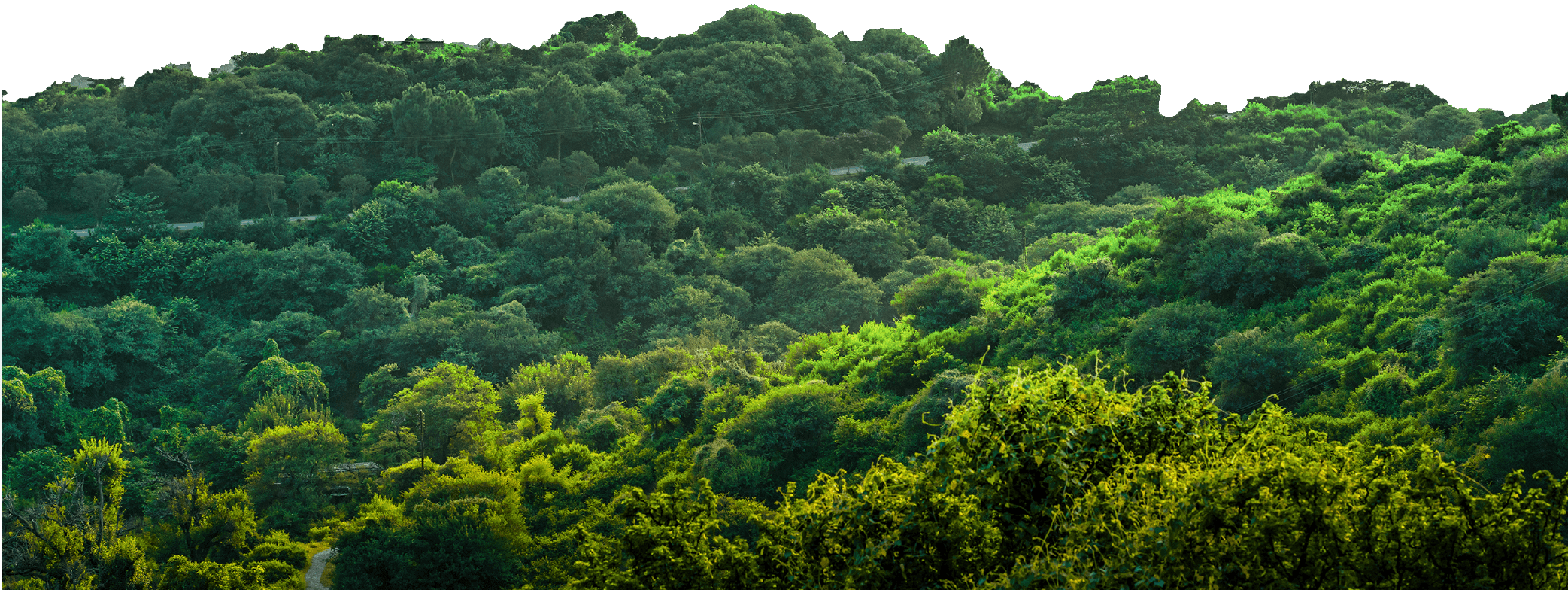 Spritzer Natural Mineral Water