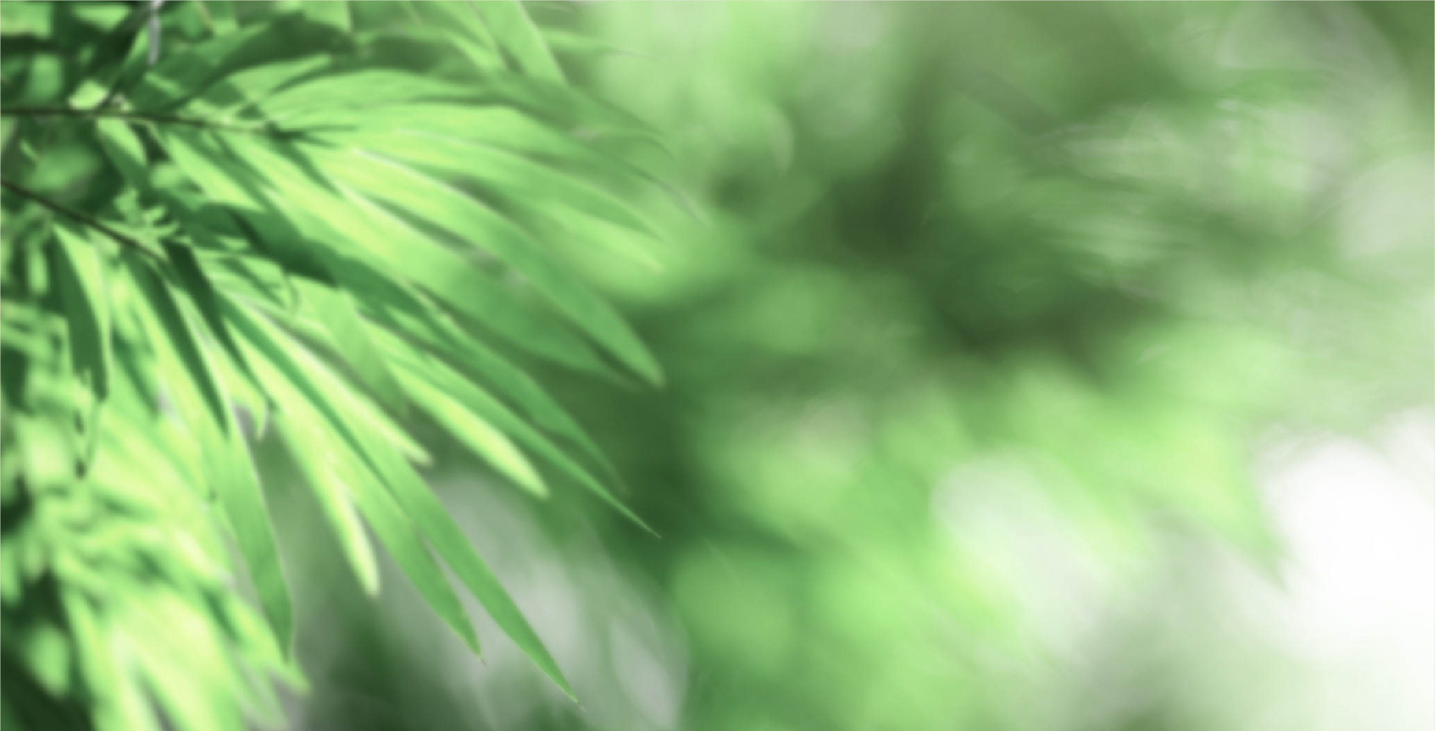 Spritzer Natural Mineral Water