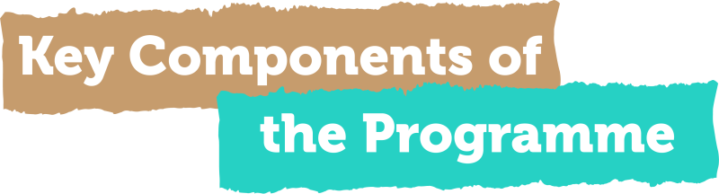 Key Components of the Programme