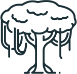 Natural Mineral Water