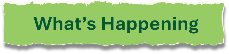 Natural Mineral Water