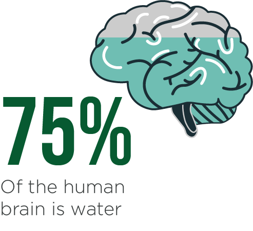 Natural Mineral Water